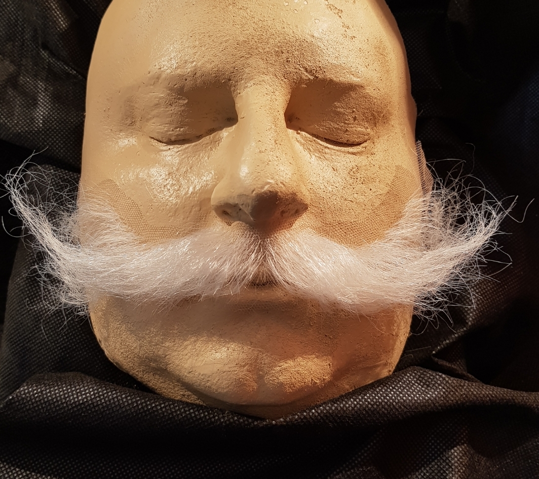 Perucas, barbas, bigodes, testas, orelhas, narizes, próteses de machucados, produtos específicos de maquiagem de efeitos